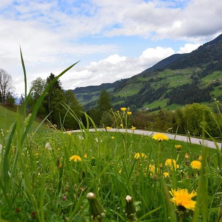 Niederstallnhof St. Johann im Pongau Exterior foto
