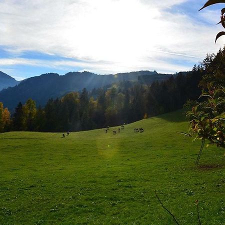 Niederstallnhof St. Johann im Pongau Exterior foto