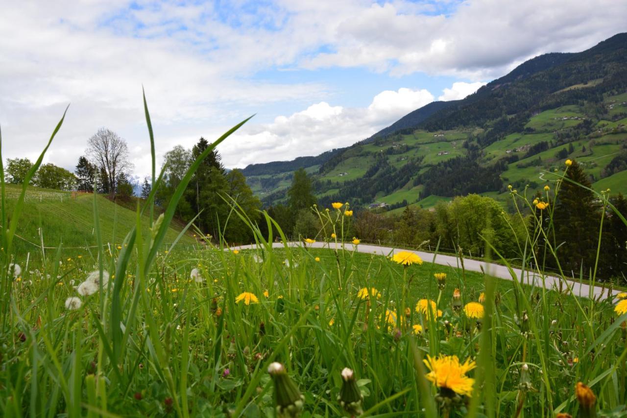 Niederstallnhof St. Johann im Pongau Exterior foto